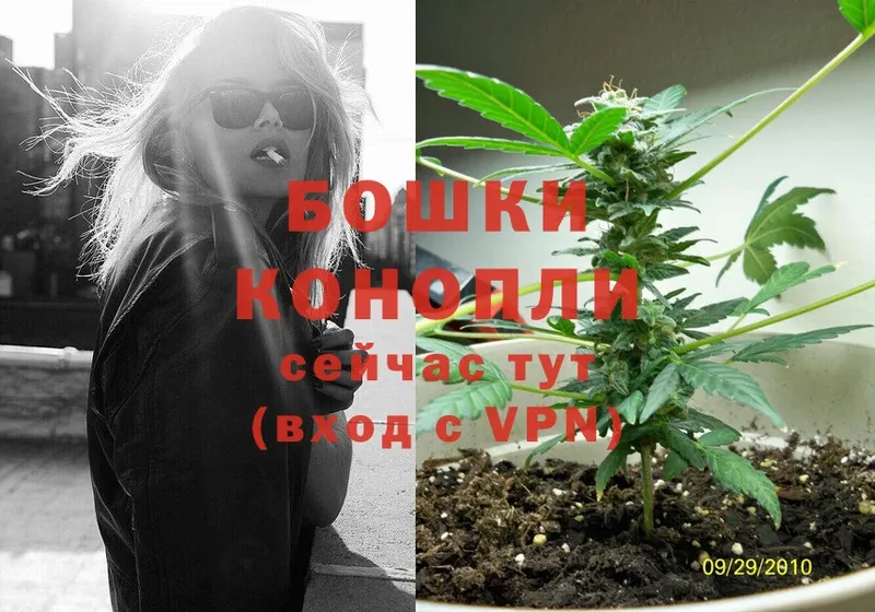 купить наркотики цена  Боровичи  OMG вход  Канабис THC 21% 